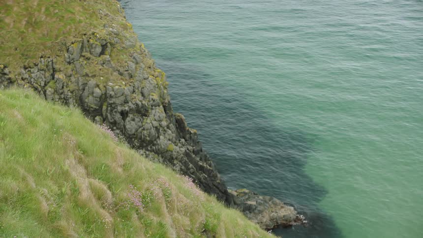 Grass grows on a cliff next to a blue green ocean