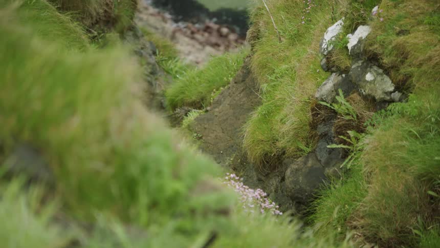 A large cliff drops down to the water
