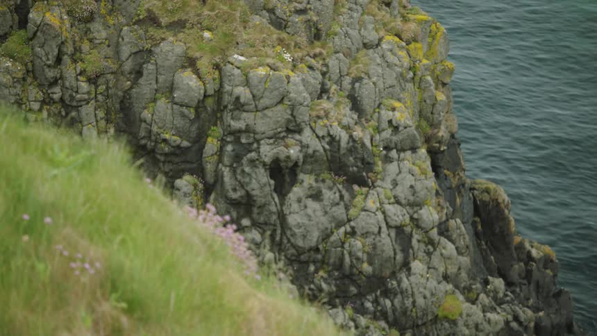 A cliff sits near the ocean