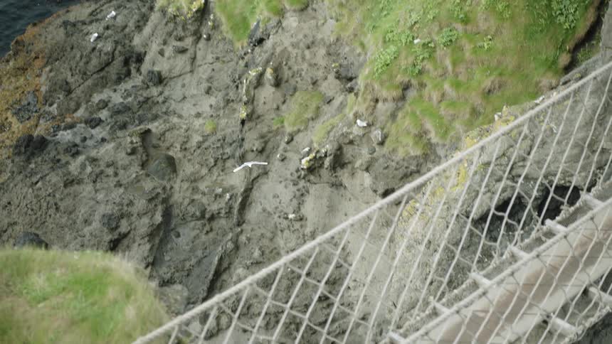 A bird flies around the cliff