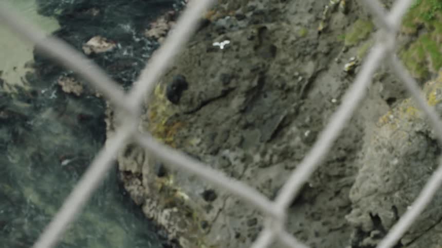 An aerial view of a cliff near the coast