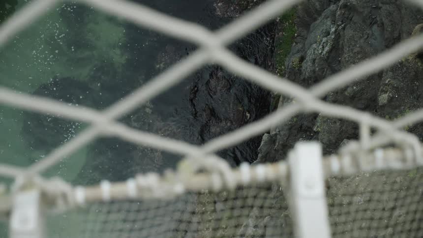 A rope bridge over the ocean