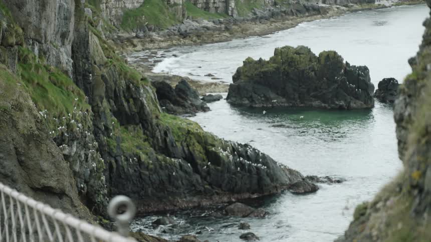 Birds fly to and land on a cliff in the ocean