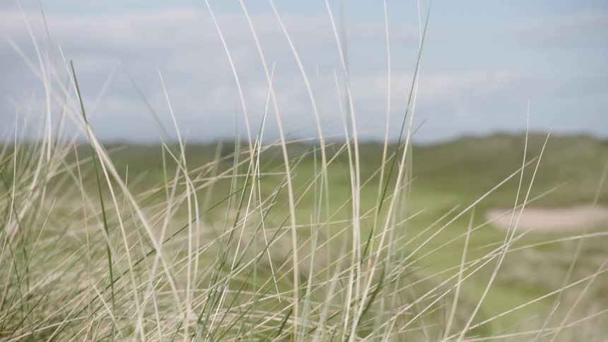 Multiple sand pits along a grass field