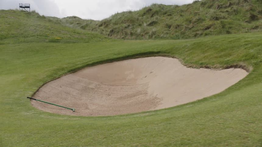 A golf club sits in a sand pit on a green golf course