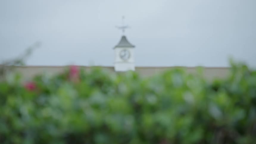 Flowering plants landscaped in front of a building with a clock tower