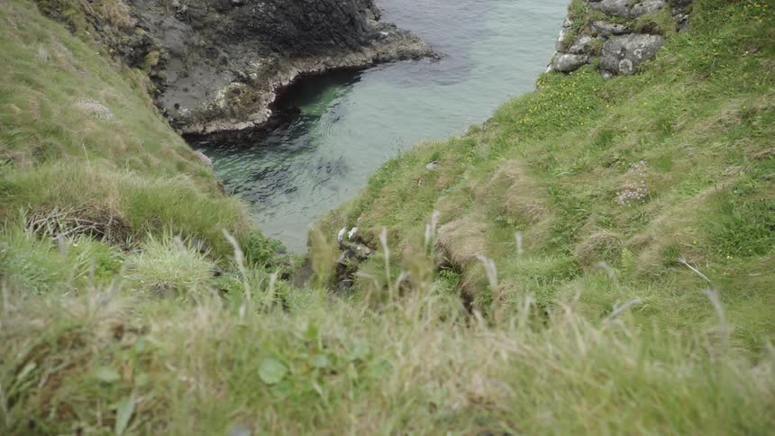 A grassy hill meets the water