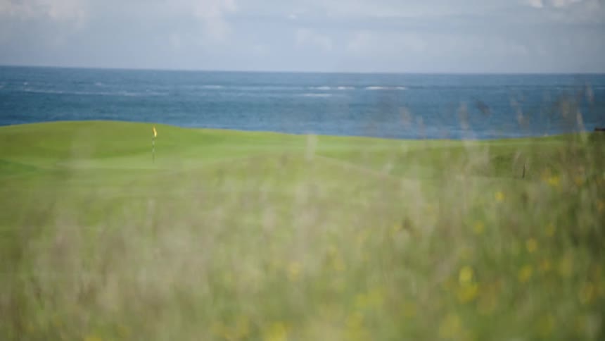 A field near the ocean