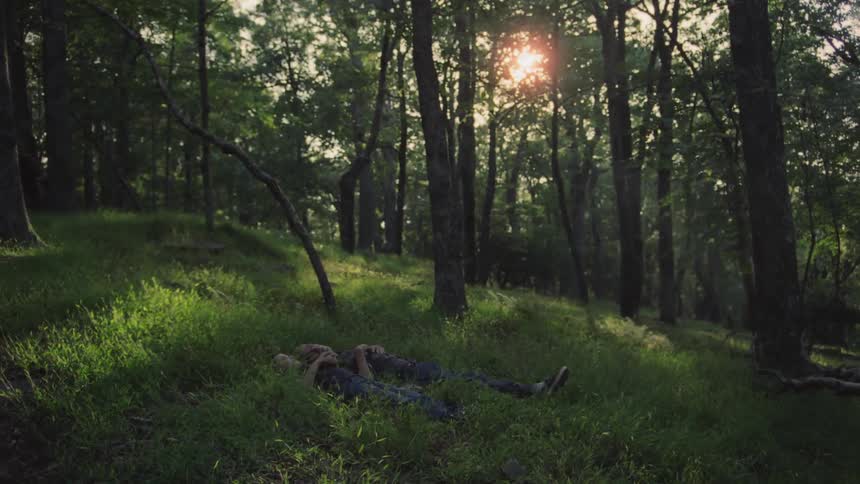 Two people lay in the grass surrounded by trees