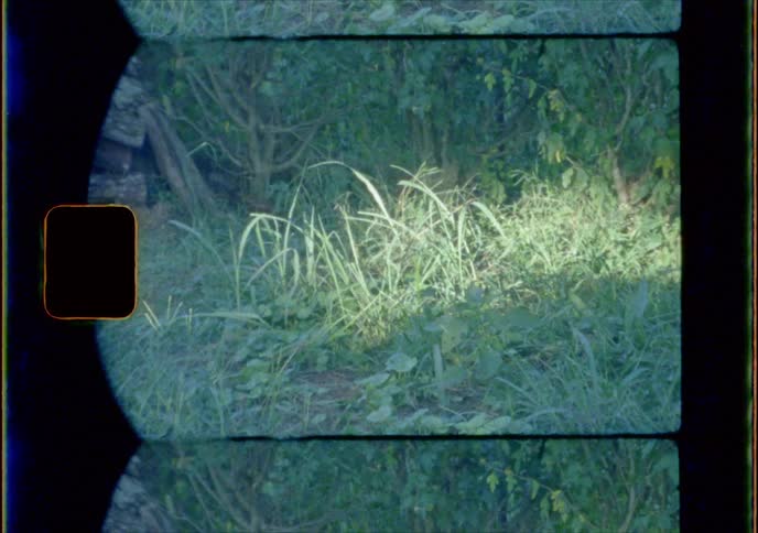 Grass and weeds growing out of the dirt