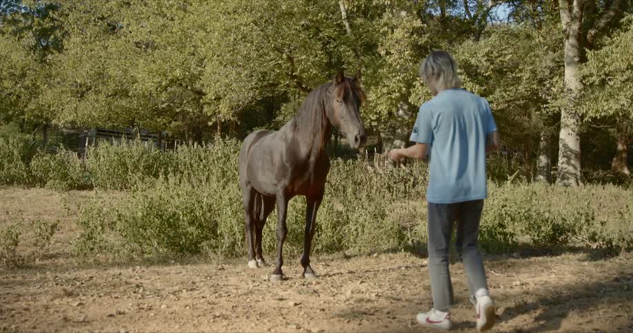 A man is walking up to a horse and feeding it