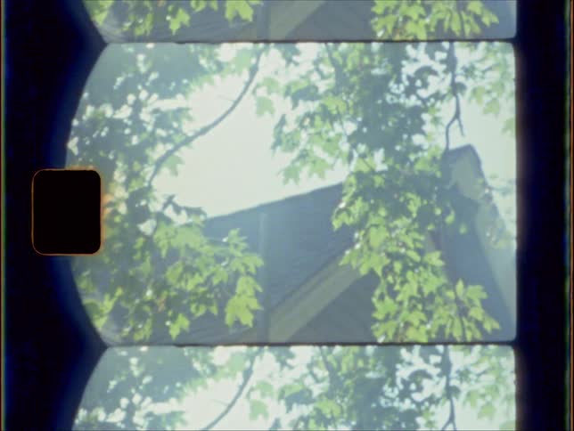 The roof of a house on a sunny day