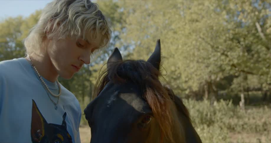 A white male wearing a shirt with a dog on it is holding a green bucket it one hand and feeding a brown horse with the other hand