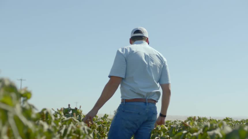 Man walks through field and looks around during daylight