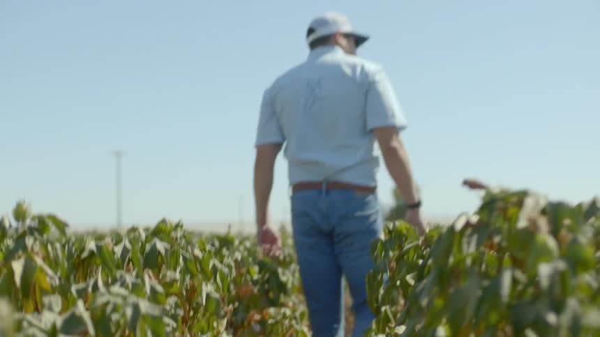 A man is walking through a farm field outdoors