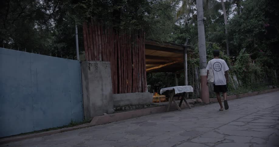 Man carries bag through gate entry as dog passes by