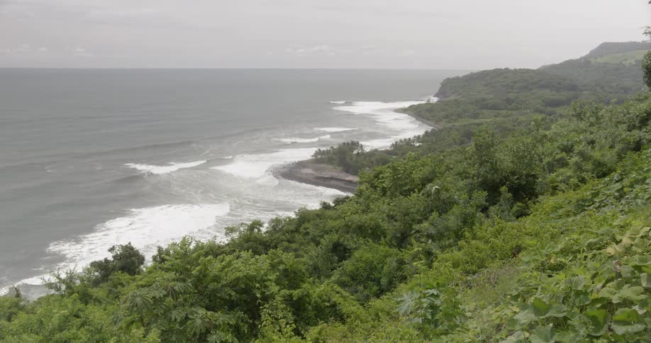 Wind blowing across grass and plant covered fields along the oceans coast