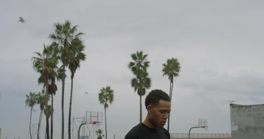 Birds fly over a man on the basketball court