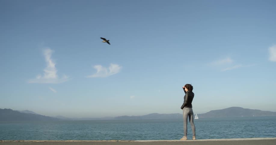 A bird flies over the woman by the shore