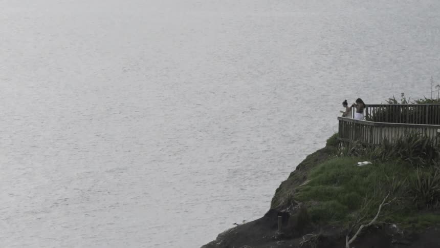 Seagull Soaring Over Ocean Waters Under Bright Sky — Coastal Wildlife Footage Clip.
