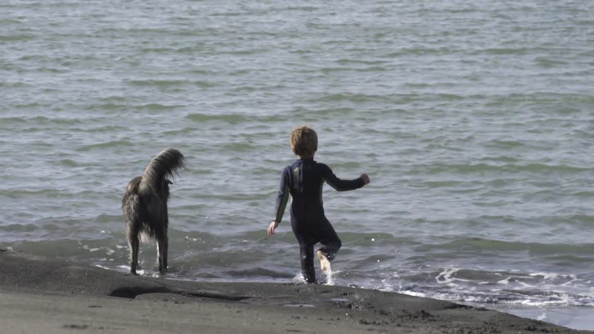 Little Kid and Faithful Dog Splashing Into the Sea, Laughing Together.