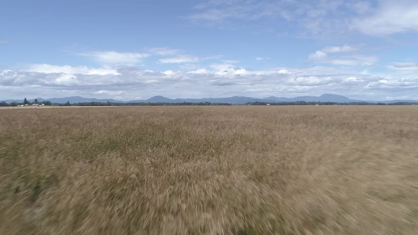 A long flat plain of grass with partly cloudy sky and hills in the back