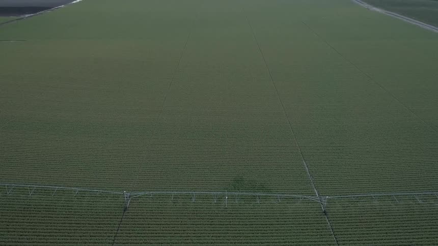 Netting over a body of water