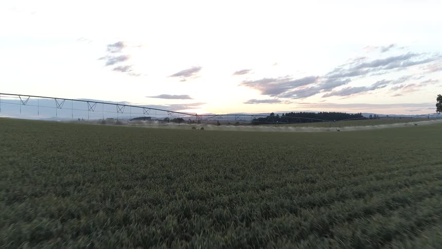 A large field in the countryside during the day