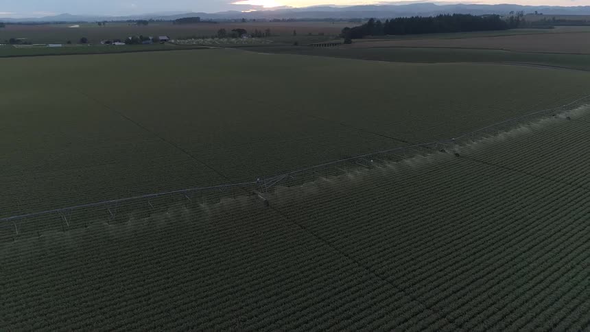 Sprinklers watering a vast farmland during the day