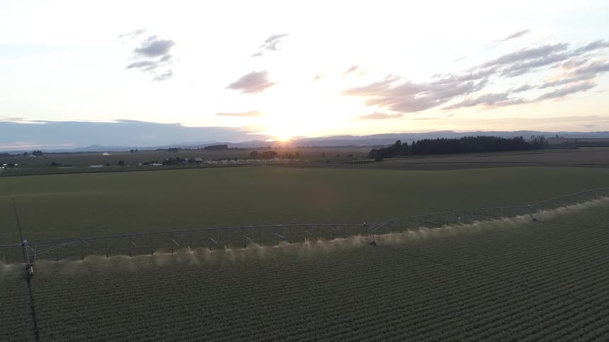 Crops being watered by a moving sprinkler system on tracks