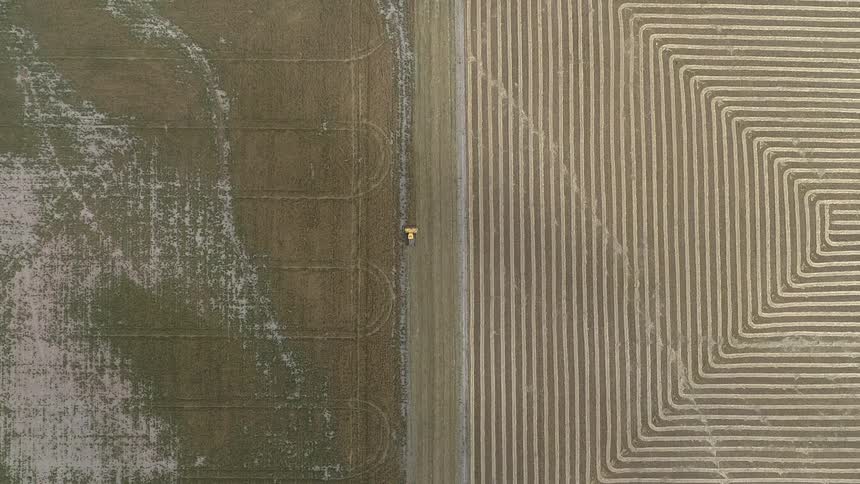 A yellow harvester harvesting a large field during the day