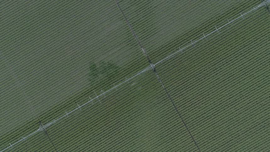Irrigation equipment sits on a farm field