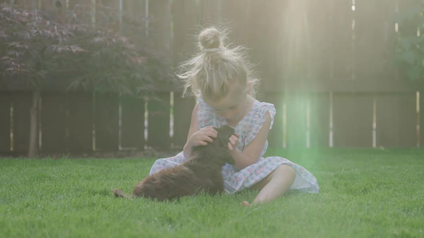 A young girl loves on a dog