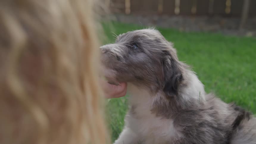 A girl scratches under a puppies chin