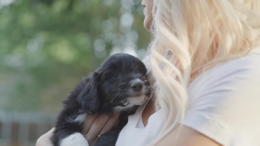 A woman holds a black and white puppy in her arms against her chest and pets him while outside