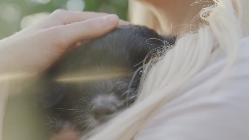 A woman is holding a dog