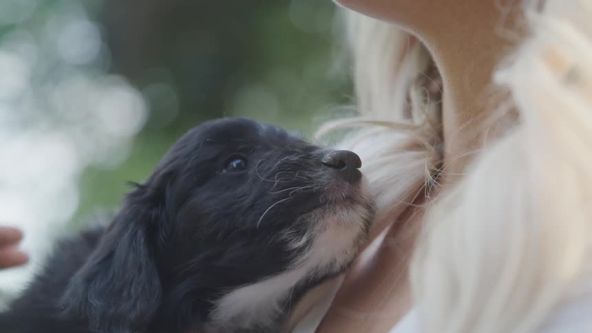 Blonde female cuddling a black puppy