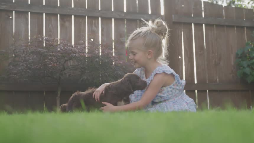 Young girl with blonde hair and a blue dress plays with brown puppy on the grass in front of a wooden fence