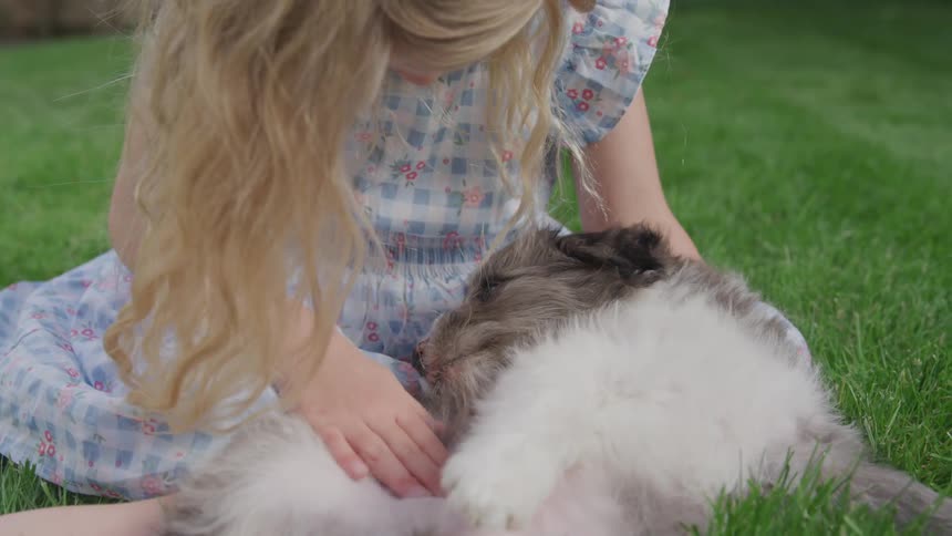 A young blonde girl pets a dog