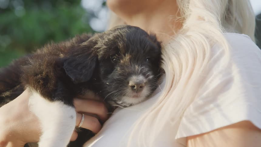 A woman holds a puppy close