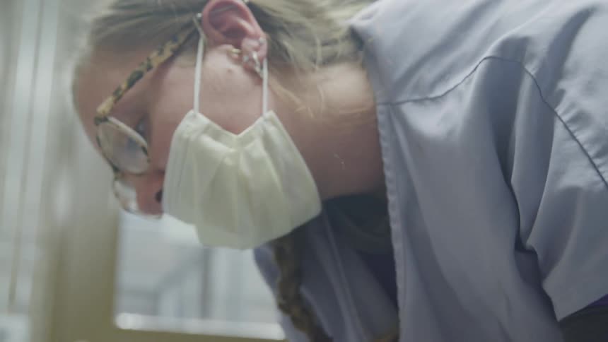 A woman examines a dog