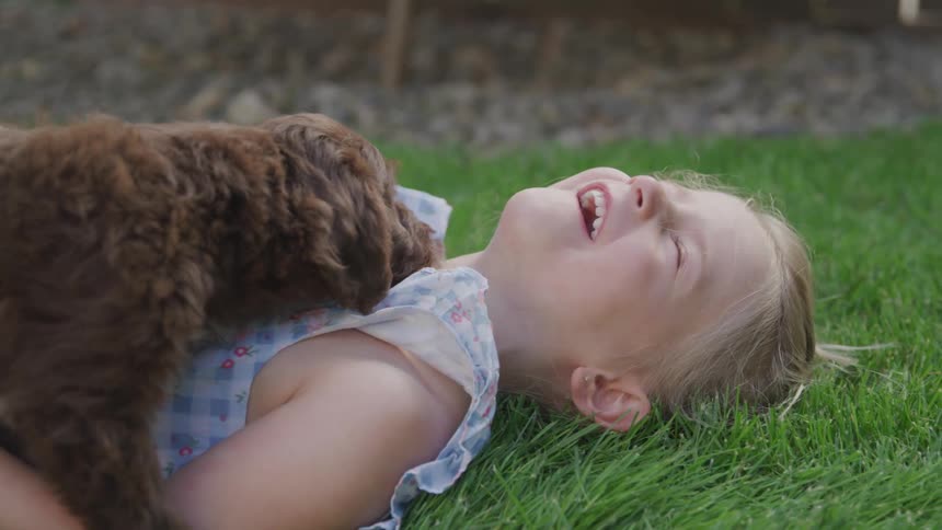 Little girl plays on the ground with a puppy