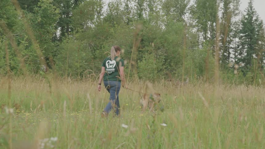 A dog walks on a leash ahead of a woman through a grassy area near trees