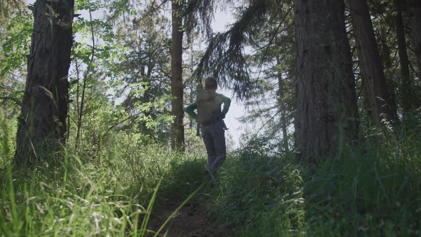A teenager looks at the trees while walking through a trail in the forest