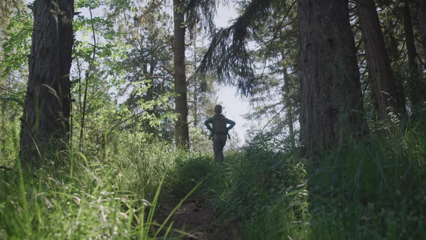 A person is hiking outdoors in the woods