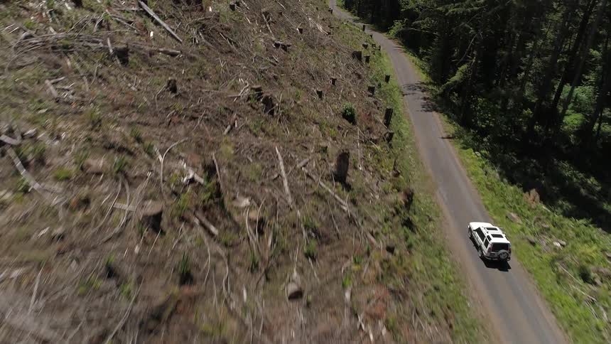 Aerial view of car driving on mountain road
