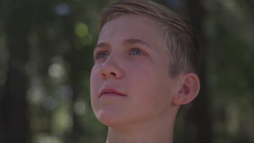 A boy standing in a woodland during the day