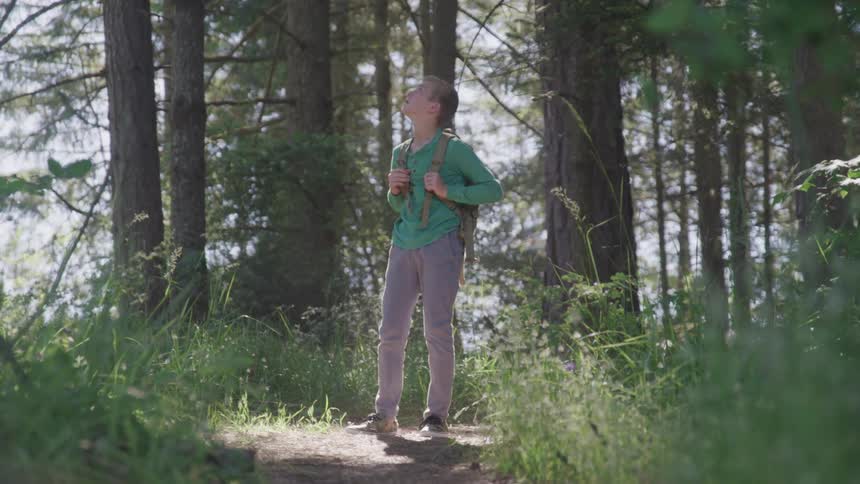 A boy is outdoors looking up in a forest area