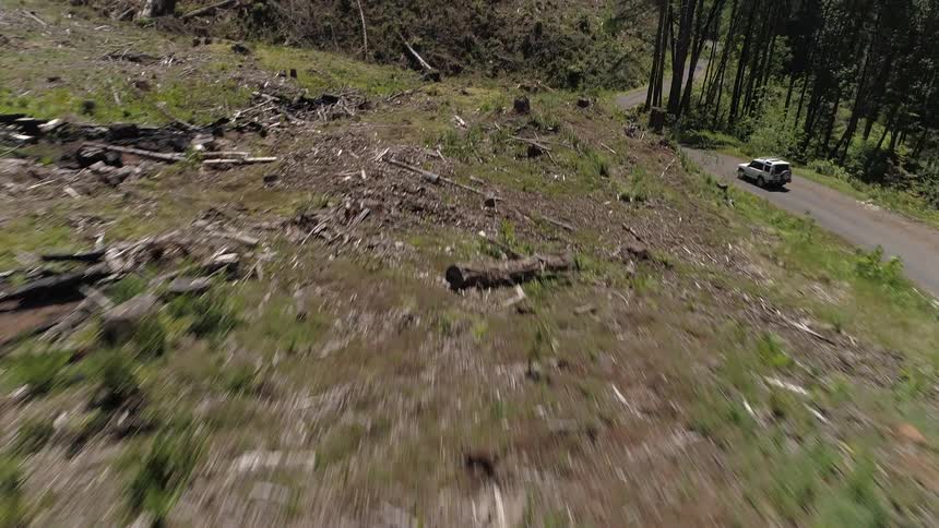 A high above view of a car driving through a windy forest road