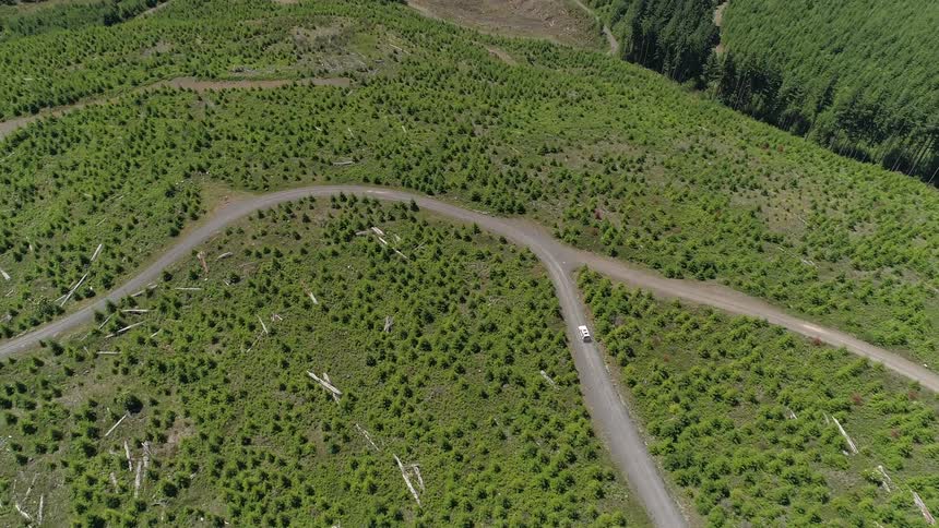An aerial view of a car driving on a road